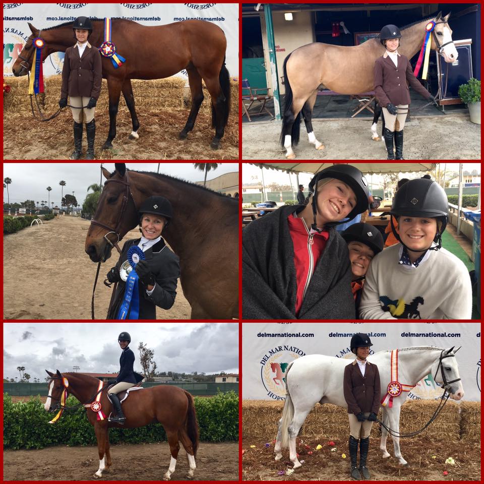 Del Mar National Horse Show | Willow Brook Stables Del Mar National Horse Show | Willow Brook Stables